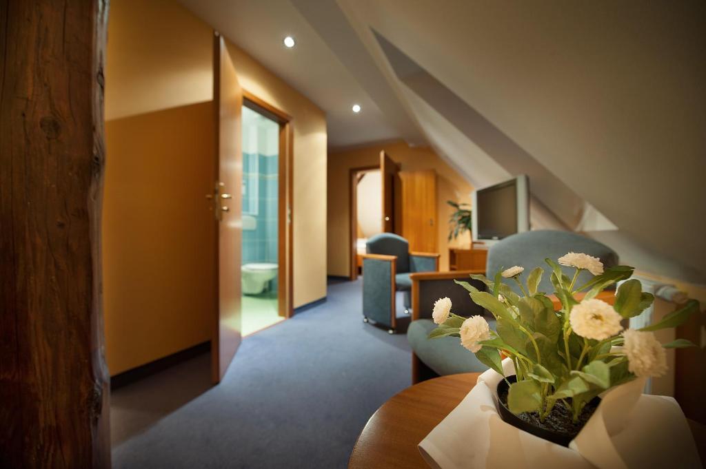 Fara Rancirov Hotel Ихлава Стая снимка
